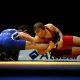 FS 55KG BUL-ARM-1